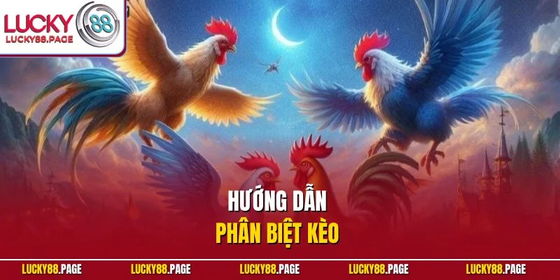 Hướng dẫn phân biệt kèo