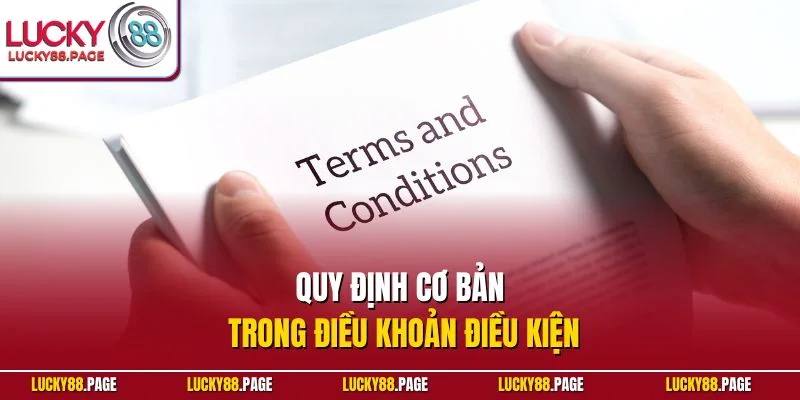 Chi tiết điều khoản điều kiện